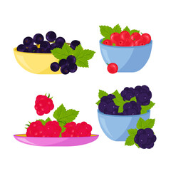 Red, black currants, blackberries and raspberries in a plate. Vector set with berries on a white background.