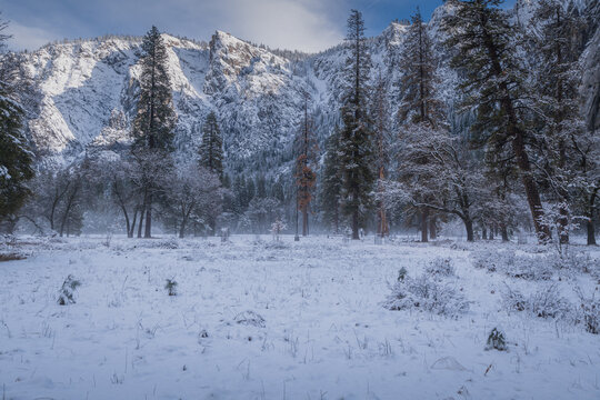 Winter Wonderland Of Forest And Mountains With Snow Covered Ground