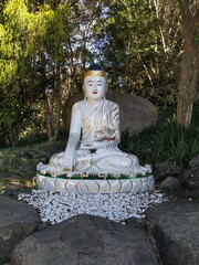 Buddha statue on a garden with trees