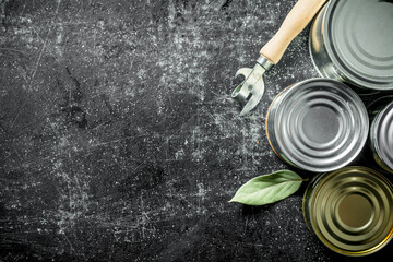 Assortment of various cans with the can opener and the Bay leaf.