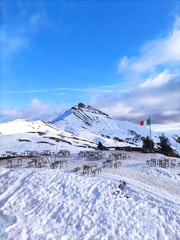 Monte Sodadura da Rifugio Nicola