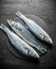 Seabass raw fish.