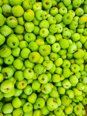 background. lots of green apples. the concept of fruit harvest for the farmer. healthy and delicious food and dessert.