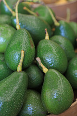 aguacates verdes puestos a la venta mercado 4M0A7932-as23