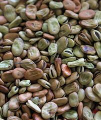 habas secas venta mercado legumbre país vasco 4M0A7996-as23