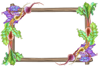 Color illustration of beetroot compositions. High quality photo