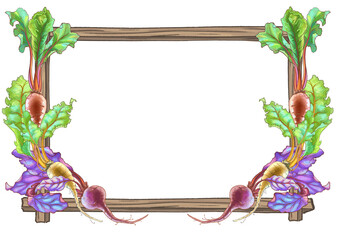 Color illustration of beetroot compositions. High quality photo