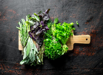 Assortment of different types of herbs for salad.