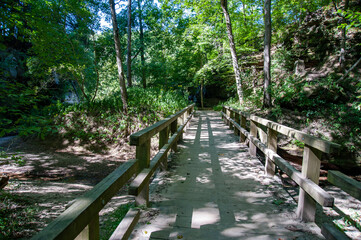 wooden bridge in the woods