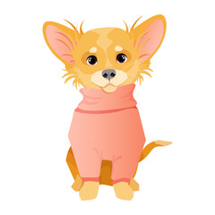 Naklejka na ściany i meble Little cute chihuahua dog in a pink sweater