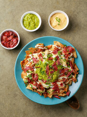 Rich nachos with meat and Italian sausage, 5 cheese sauce, guacamole, Mexican-style sour cream
