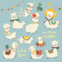 Obraz premium Cute Llamas with funny Quotes. Funny Characters