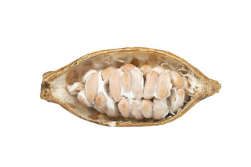 Cocoa pods, Cocoa beans, Chocolate