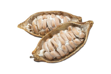 Cocoa pods, Cocoa beans, Chocolate