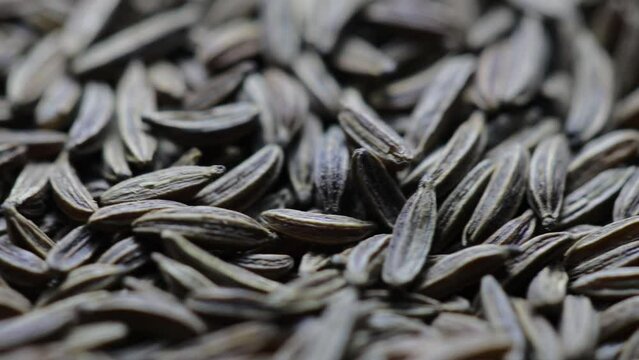 close-up cumin grains rotate in a circle