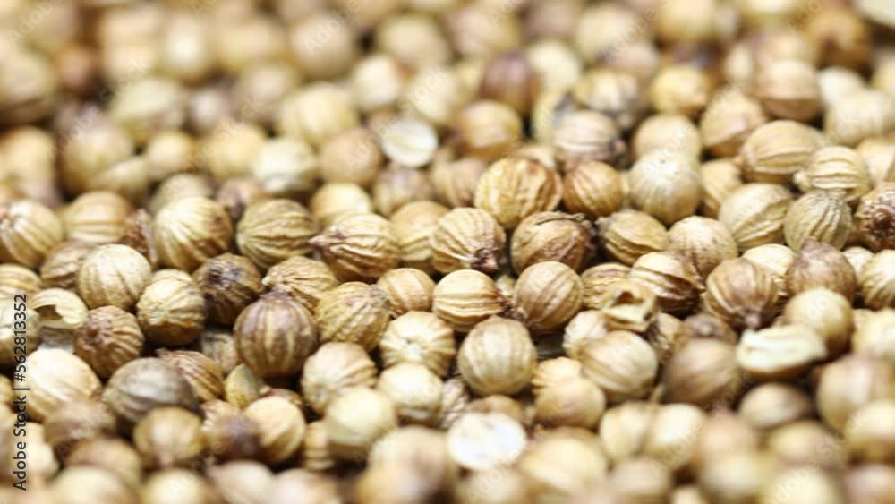 Poster a large pile of natural dried coriander in a pile. camera movement horizontal