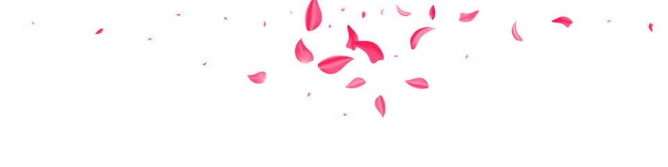 Delicate Petal Beauty Vector White Panoramic