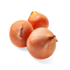 Onion isolated on white background. Close-up of a ripe onion on white