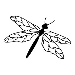 Flying dragonfly for coloring book. Dragonfly vector illustration isolated on white background
