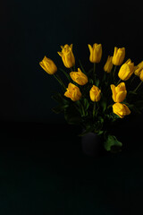 Beautiful spring bouquet of yellow tulips in a vase on a dark background, festive bouquet for birthday or holiday