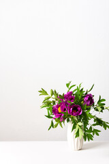 Paeonia suffruticosa in a white vase against a white wall, part of a home interior, house decoration with flowers Japanese Tree Peony, cozy spring May background