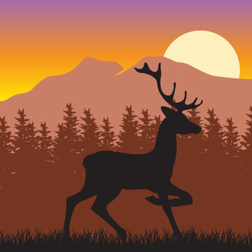 deer with mountain and evening sun