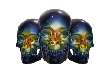 skull,  human skeleton
