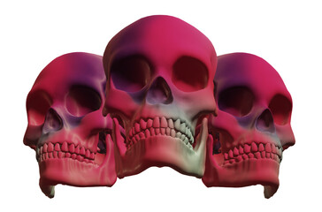 skull,  human skeleton