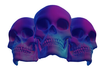 skull,  human skeleton