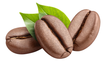 Roasted coffee beans with leaves cut out