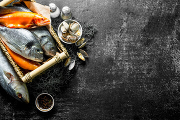 Raw fresh fish with oysters and spices.