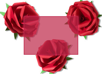 viva magenta transparent frame on white background with red craft roses, creative holiday design
