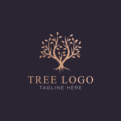 Tree vector icon. Nature trees vector illustration logo design.