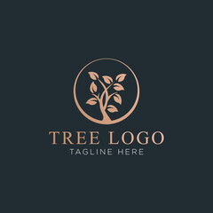 Tree vector icon. Nature trees vector illustration logo design.