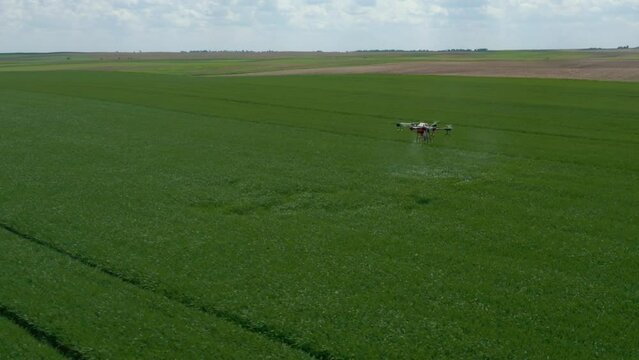 Agriculture drone fly to sprayed fertilizer on the rice field. industrial revolution. agriculture technology.