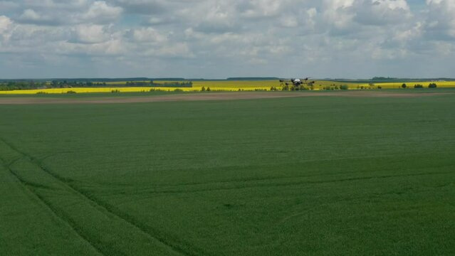 Agriculture drone fly to sprayed fertilizer on the rice field. industrial revolution. agriculture technology.