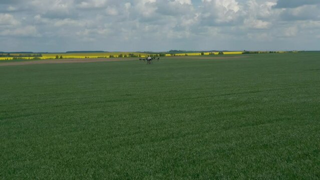 Agriculture drone fly to sprayed fertilizer on the rice field. industrial revolution. agriculture technology.