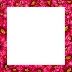 Watercolor hand drawn cosmea flower square frame in trendy color viva magenta. Elements isolated on white background