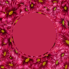 Watercolor hand drawn cosmea flower gold frame in trendy color viva magenta. Elements isolated on white background