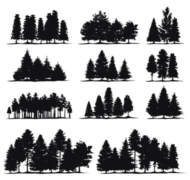 1,716 Treeline Silhouette Images, Stock Photos, 3D objects