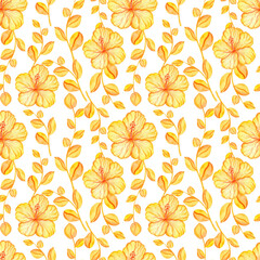Watercolor tropical hibiscus flowers seamless pattern isolated on white background. Colorful exotic floral illustration.