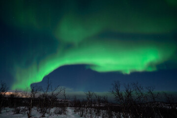 Fototapeta na wymiar northern lights aurora borealis landscape with forest 