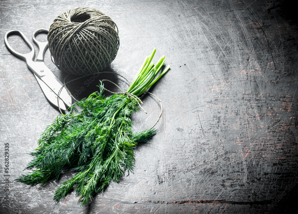 Canvas Prints Dill cut in the home garden with twine.