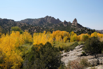 Fall in the desert- color