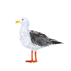 Seagull 8 bit  icon