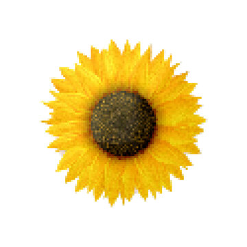 Sunflower Pixel Art Icon