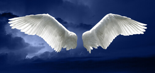 Angel wings with a background made of sky and clouds