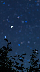 Starry sky with many multi-colored stars, against the background of silhouettes of trees. Vertical orientation.