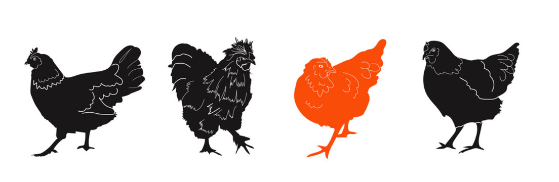 Hen silhouettes illustration variety farm animals contur line drawing white background cutout gallinaceous collection