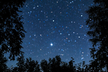 Fototapeta na wymiar Starry sky with many multi-colored stars, foliage and trees silhouette.